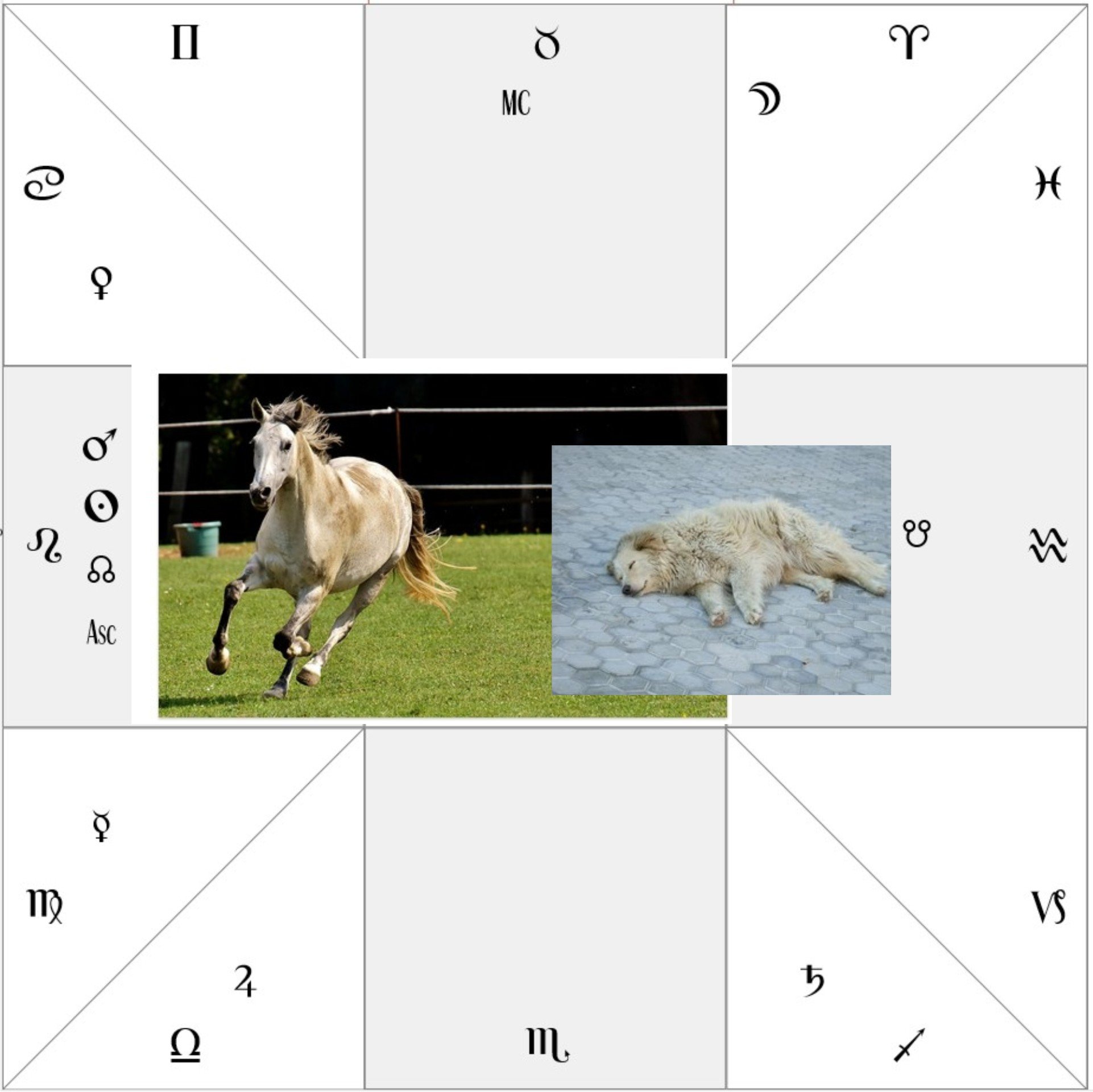 Injury by horses in Astrology