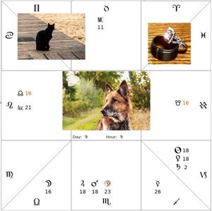 finding lost animals with Astrology s