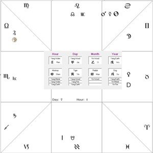 Profession in Astrology s