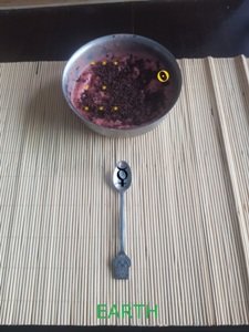 The sidereal and tropical Zodiac s