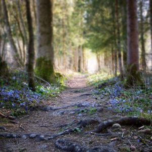 piritual path and meaning of life with Astrology 2